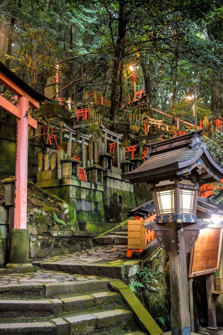Petits torii rouges et lanternes de pierre dans un sanctuaire boisé
